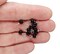 Tiny Black Onyx Dangles, 5 or 10 pcs, 4mm Gemstone Charms, Adorabilities